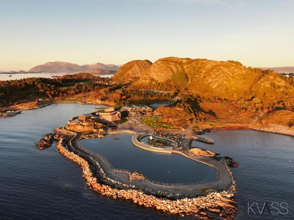 Alesund New Guesthouse Екстериор снимка